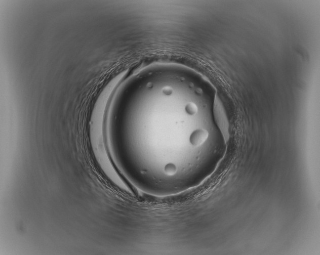 X0000113130769200909041146
