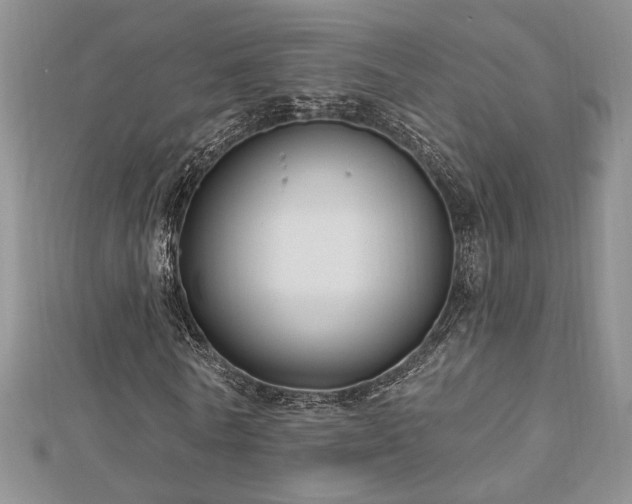 X0000113130770200909041146