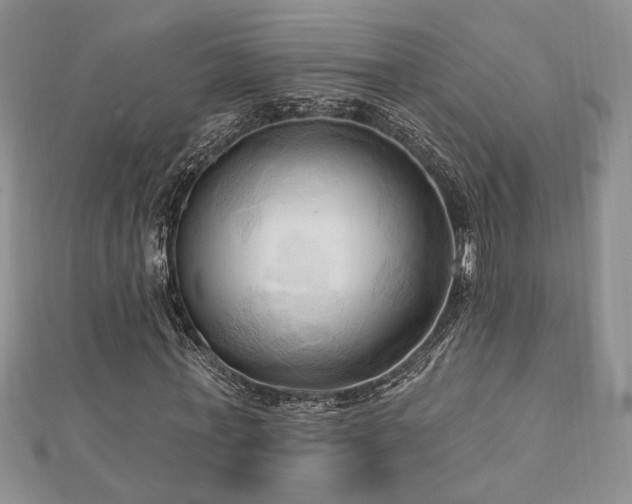X0000113130771200909041146
