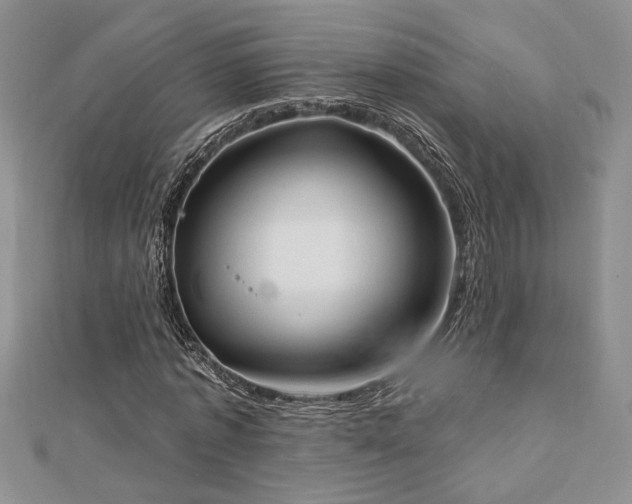 X0000113130773200909041146
