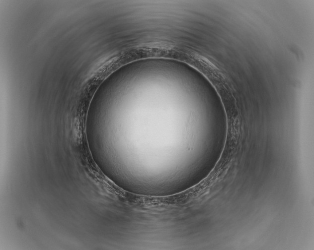 X0000113130774200909041146