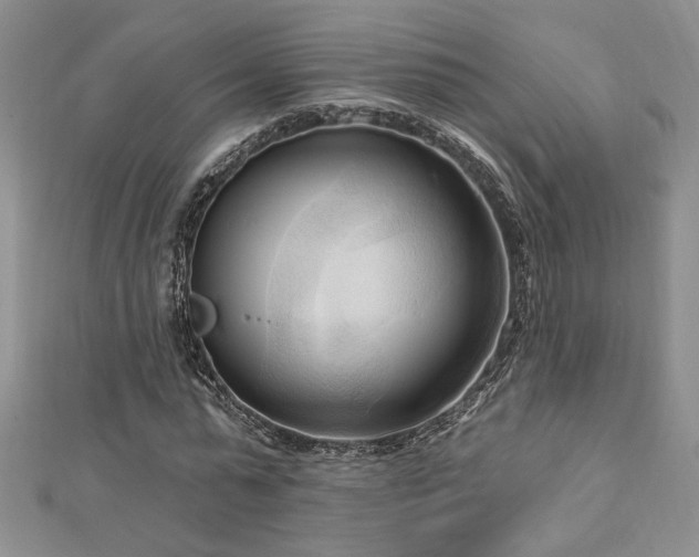 X0000113130775200909041146