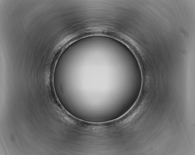 X0000113130778200909041146