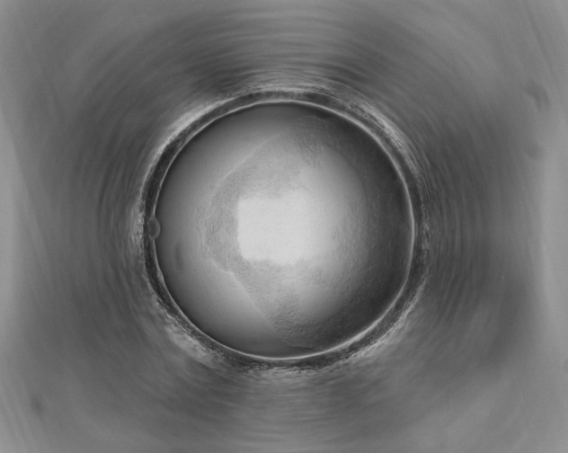 X0000113130779200909041146