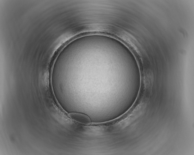 X0000113130781200909041146
