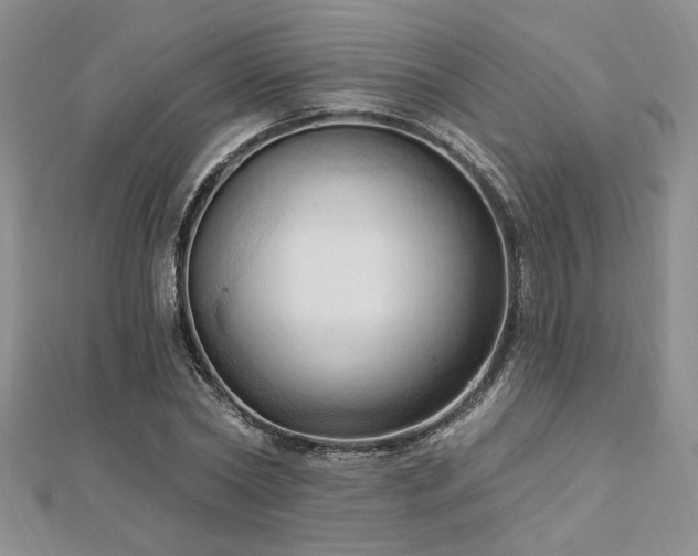 X0000113130782200909041146