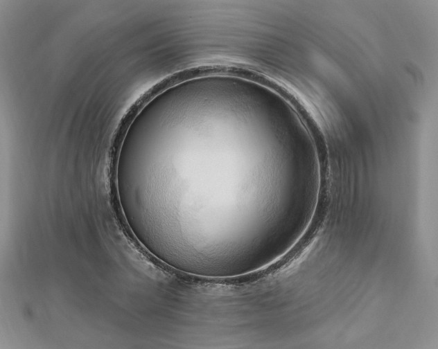 X0000113130783200909041146