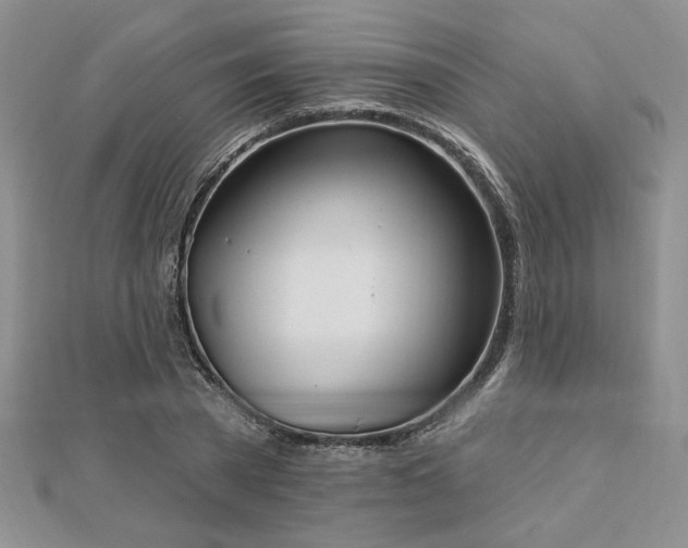 X0000113130785200909041146