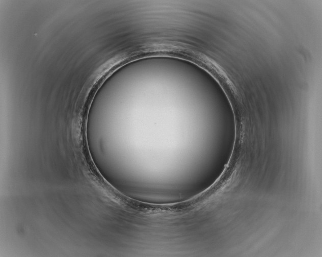 X0000113130786200909041146