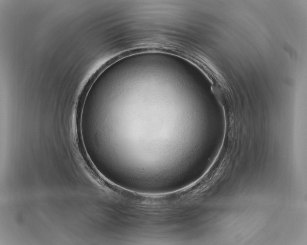 X0000113130788200909041146