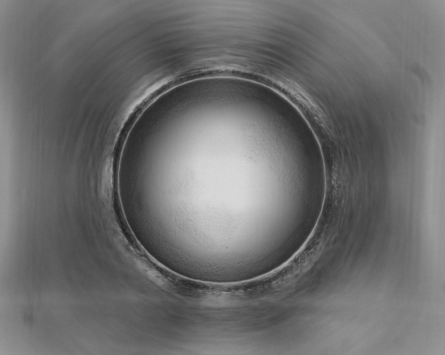 X0000113130790200909041146