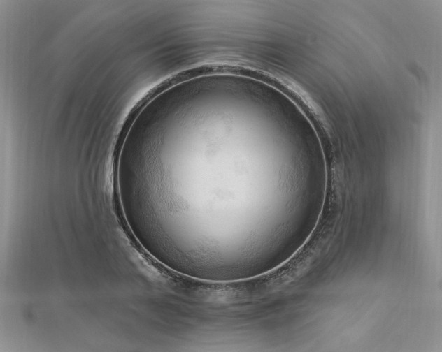 X0000113130791200909041146