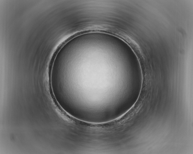 X0000113130792200909041146