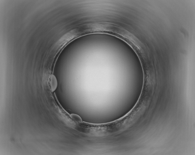 X0000113130793200909041146