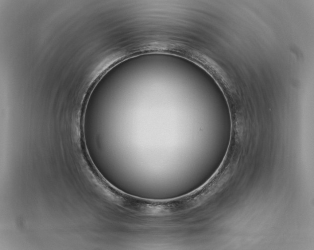 X0000113130794200909041146