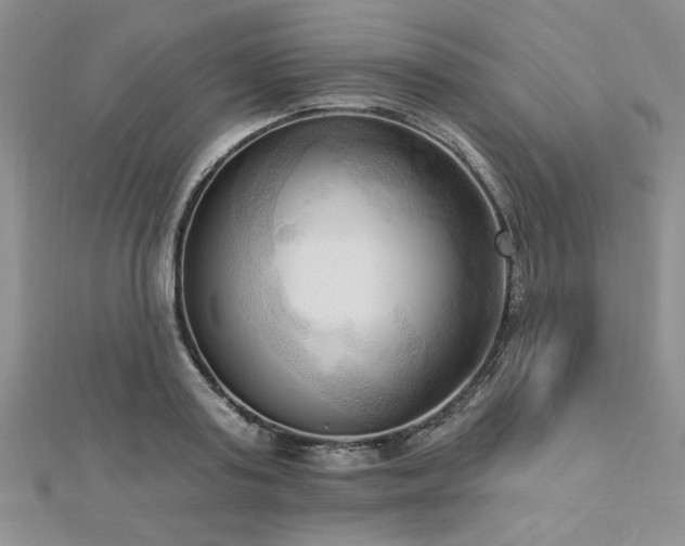 X0000113130795200909041146