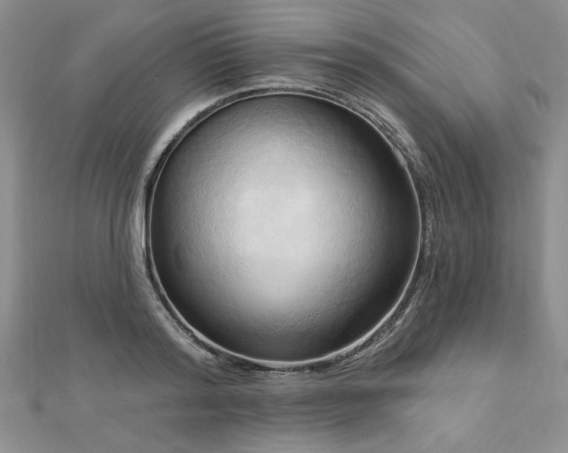 X0000113130796200909041146