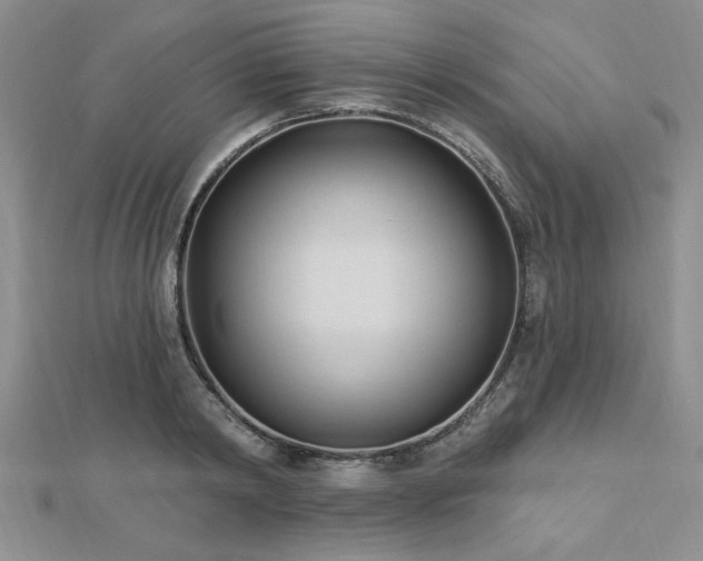 X0000113130798200909041146