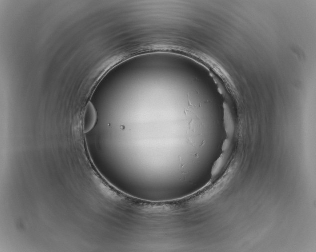 X0000113130801200909041146