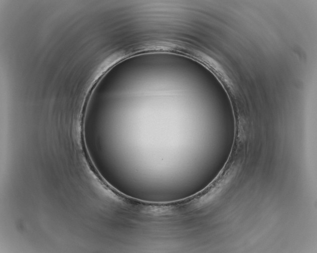 X0000113130802200909041146