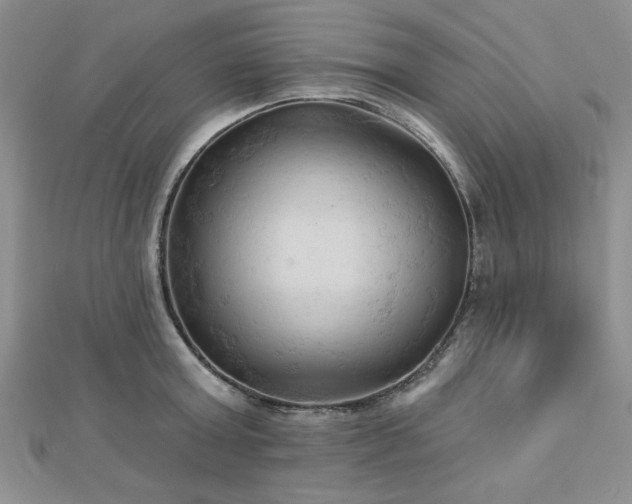 X0000113130803200909041146