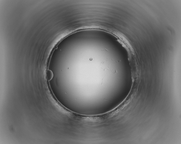 X0000113130805200909041146