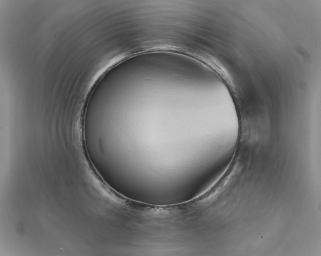 X0000113130806200909041146
