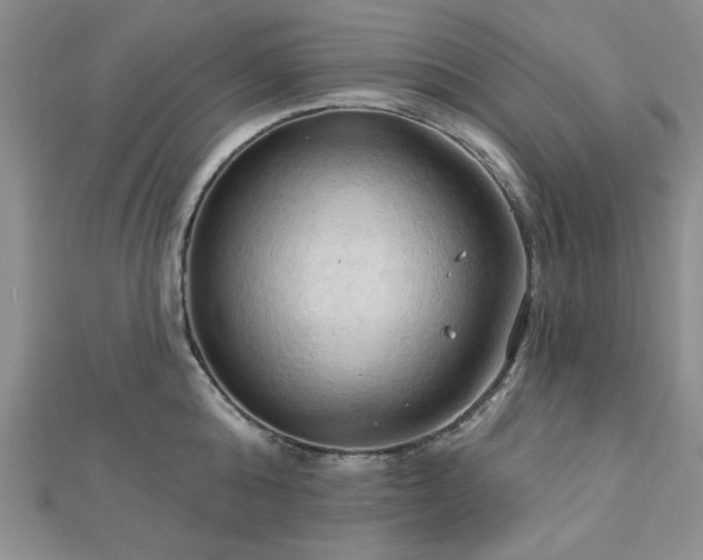 X0000113130808200909041146
