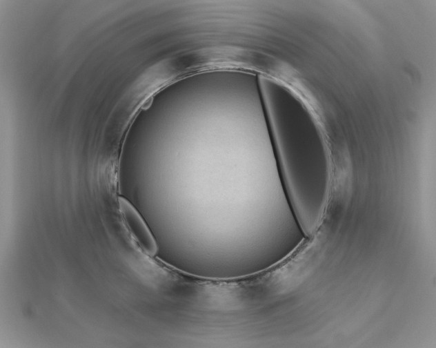 X0000113130809200909041146