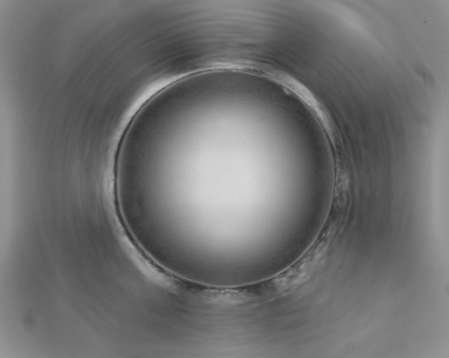 X0000113130811200909041146