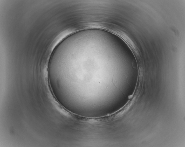 X0000113130814200909041146