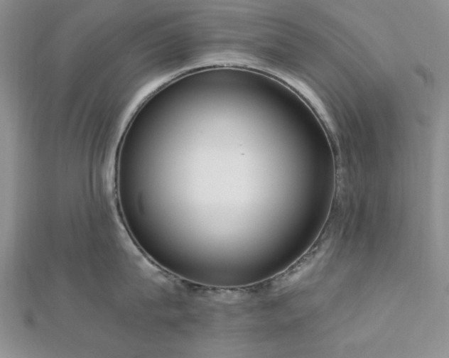 X0000113130815200909041146