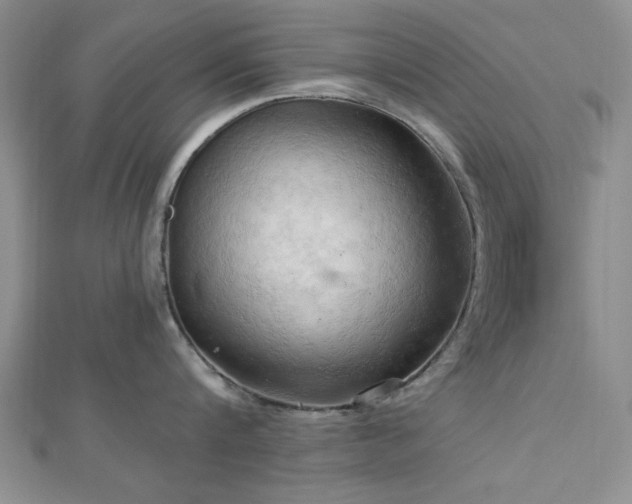 X0000113130816200909041146