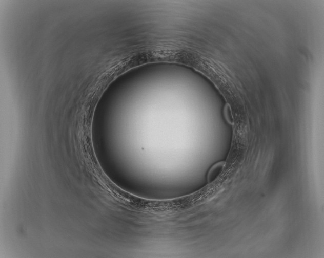 X0000113130817200909041145