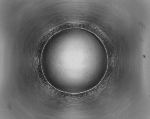 X0000113130821200909041145