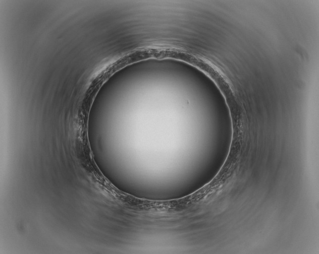 X0000113130823200909041145