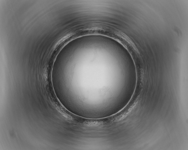 X0000113130826200909041145