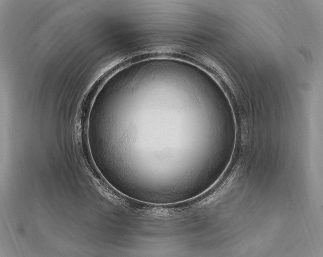 X0000113130827200909041145