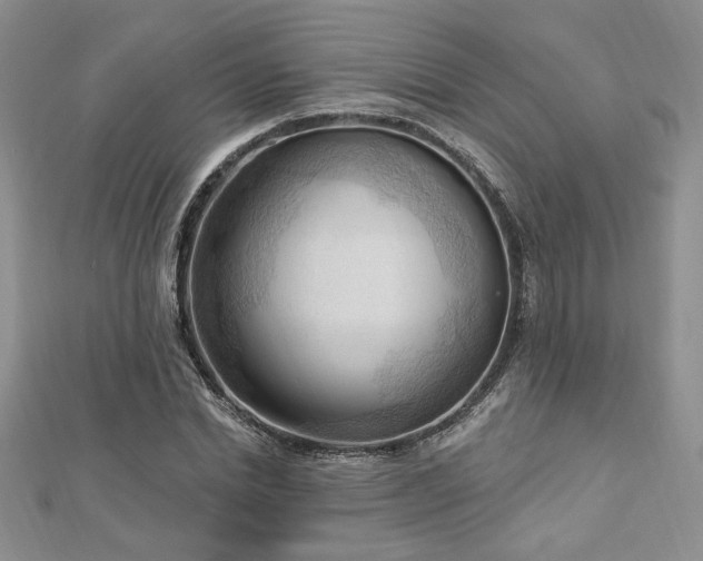 X0000113130830200909041145