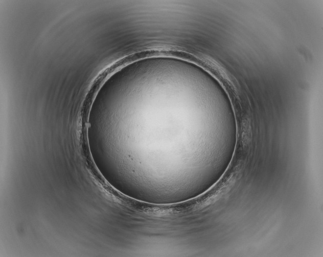 X0000113130831200909041145