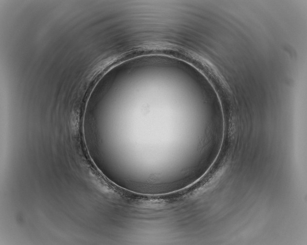 X0000113130833200909041145