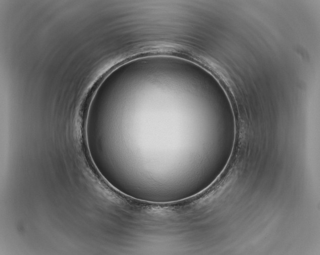 X0000113130835200909041145