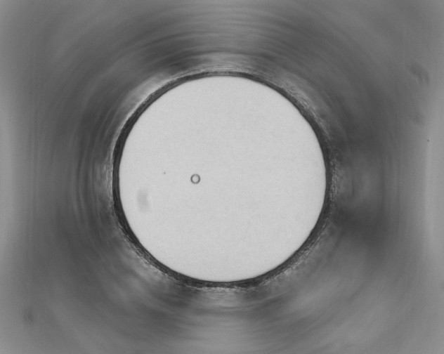 X0000113130836200909041145