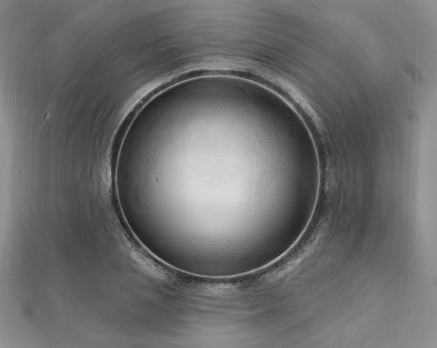 X0000113130837200909041145