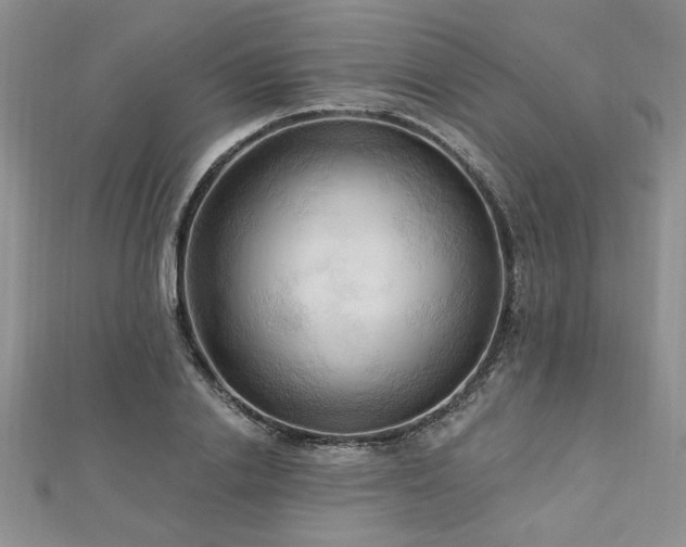 X0000113130838200909041145