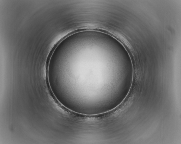 X0000113130839200909041145