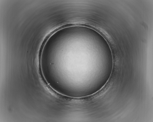 X0000113130840200909041145
