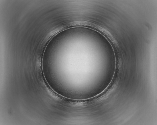 X0000113130841200909041145