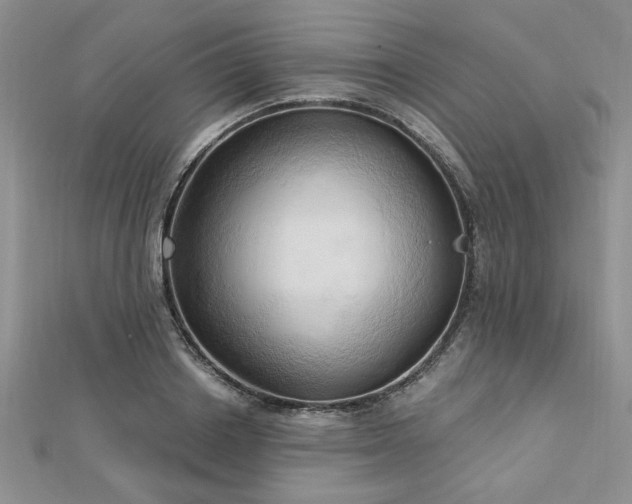 X0000113130842200909041145