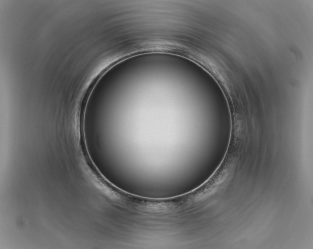 X0000113130843200909041146